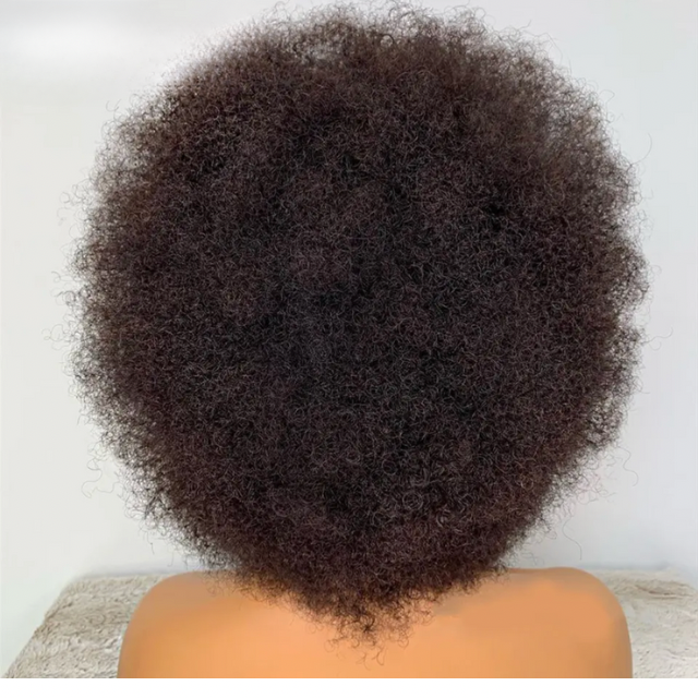 Mongolian Afro Kinky Human Hair Wig, 13x2 Lace Frontal Remy Wig 150%