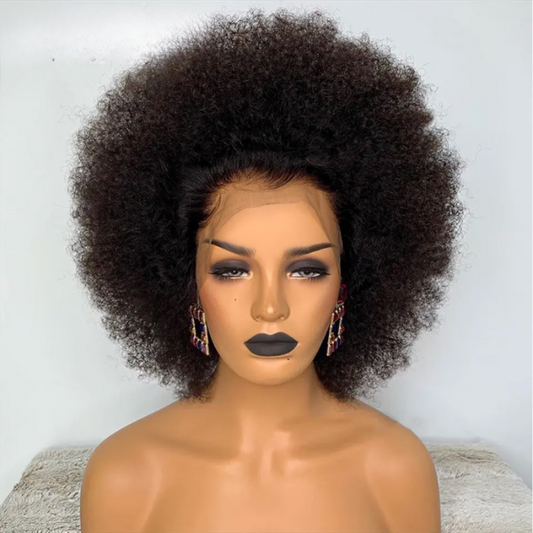 Mongolian Afro Kinky Human Hair Wig, 13x2 Lace Frontal Remy Wig 150%