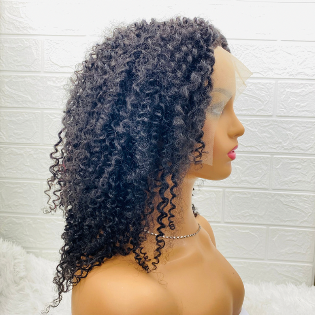 Tiwaoma Women  Afro Kinky Hair Wig, Ombré Lace Front T Part Human Hair Blend Wig