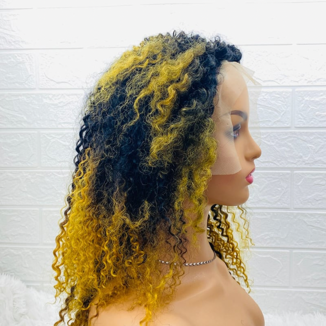 Tiwaoma Women  Afro Kinky Hair Wig, Ombré Lace Front T Part Human Hair Blend Wig