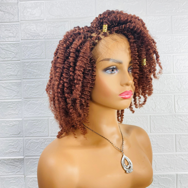 Tiwaoma  Afro Kinky curly wig Women Synthetic loose twist braided wig.