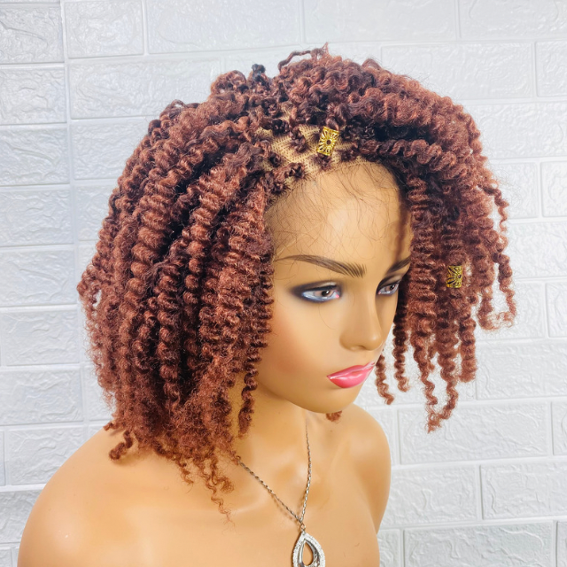 Tiwaoma  Afro Kinky curly wig Women Synthetic loose twist braided wig.