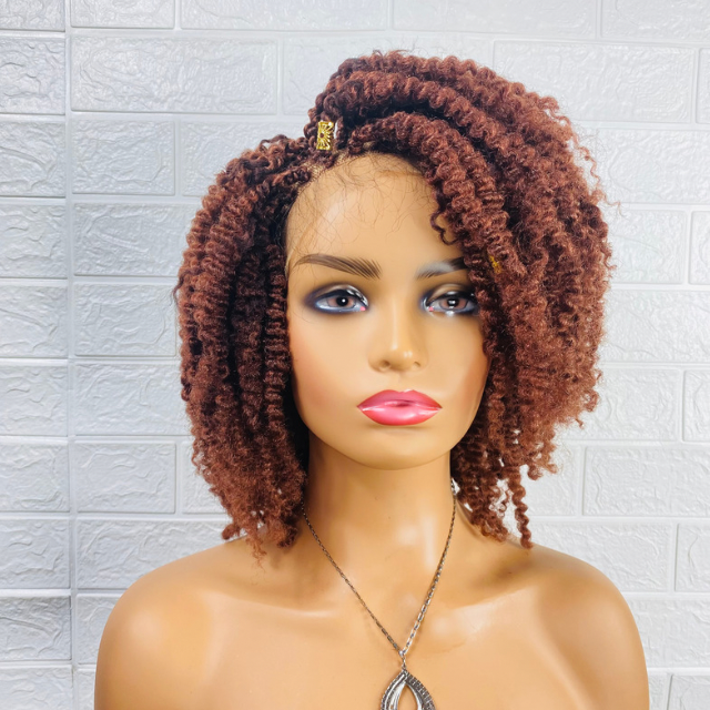 Tiwaoma  Afro Kinky curly wig Women Synthetic loose twist braided wig.