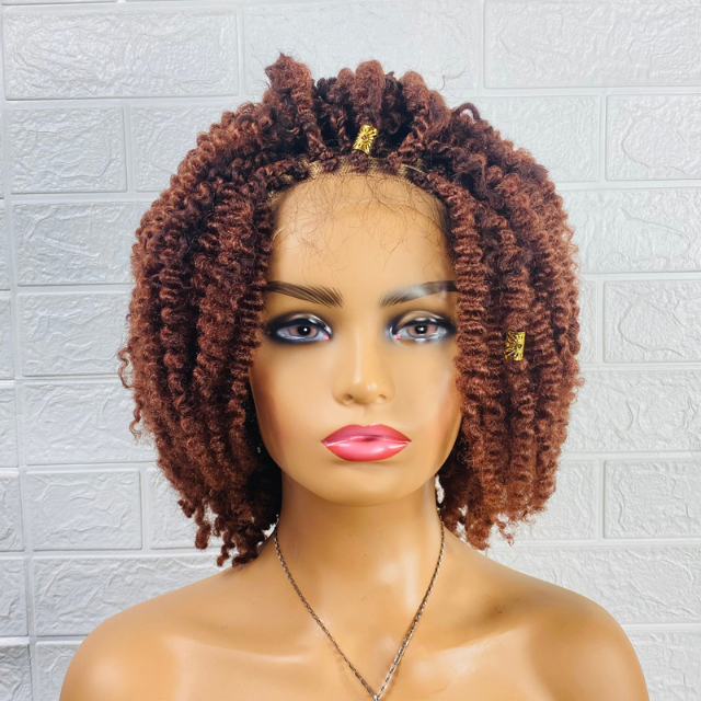 Tiwaoma  Afro Kinky curly wig Women Synthetic loose twist braided wig.